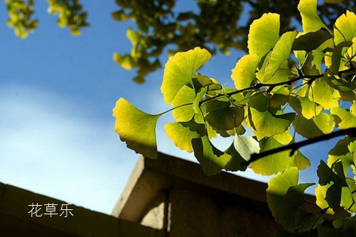 富士镜头编号——，解锁摄影艺术的神秘密码
