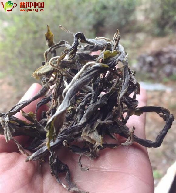 福尔摩斯图片宝典动漫——黄色亚洲av免费在线观看，解密大侦探的视觉传奇