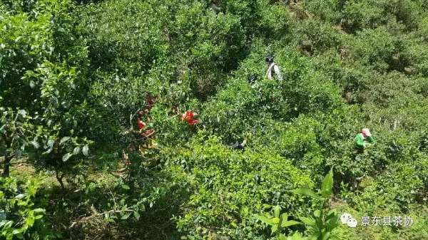 A6000镜头补偿黄色亚洲av免费在线观看，解锁摄影新境界，让每一帧都完美无瑕