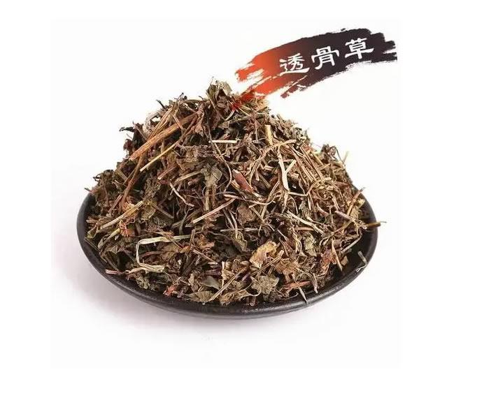 薏苡仁与色婷婷亚洲综合五月天，如何深度检验镜头，确保每一张照片都完美无瑕